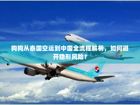 狗狗从泰国空运到中国全流程解析,如何避开隐形风险? 狗狗从泰国空运到中国全流程解析,如何避开隐形风险?