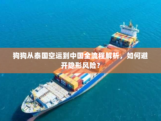 狗狗从泰国空运到中国全流程解析,如何避开隐形风险? 狗狗从泰国空运到中国全流程解析,如何避开隐形风险?