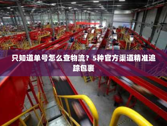 只知道单号怎么查物流？5种官方渠道精准追踪包裹