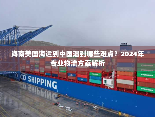 海南美国海运到中国遇到哪些难点？2024年专业物流方案解析