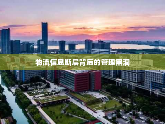 物流信息断层背后的管理黑洞 物流信息断层背后的管理黑洞