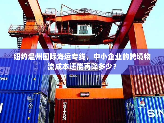 纽约温州国际海运专线，中小企业的跨境物流成本还能再降多少？