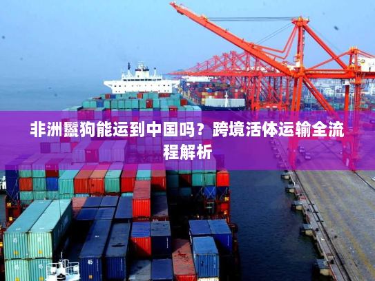 非洲鬣狗能运到中国吗？跨境活体运输全流程解析