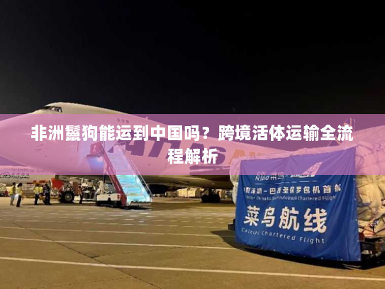 非洲鬣狗能运到中国吗？跨境活体运输全流程解析