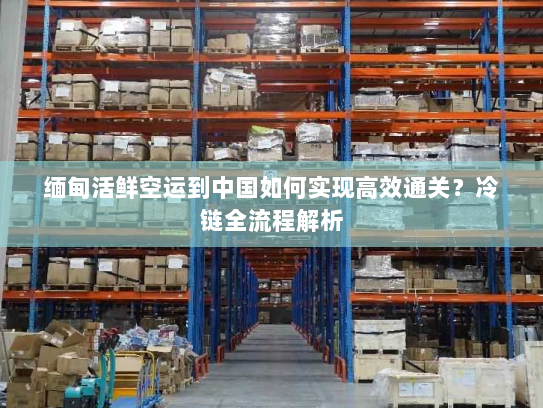 缅甸活鲜空运到中国如何实现高效通关？冷链全流程解析