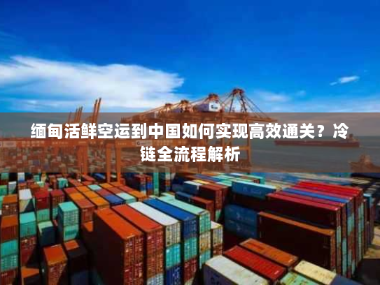 缅甸活鲜空运到中国如何实现高效通关？冷链全流程解析