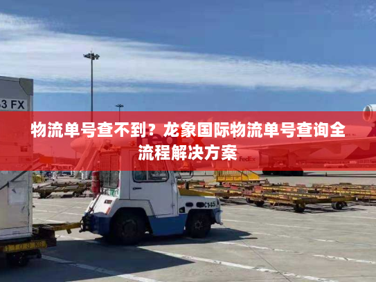 物流单号查不到？龙象国际物流单号查询全流程解决方案
