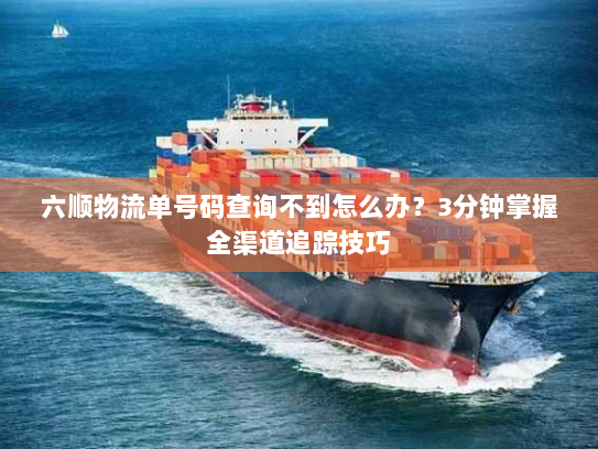六顺物流单号码查询不到怎么办？3分钟掌握全渠道追踪技巧