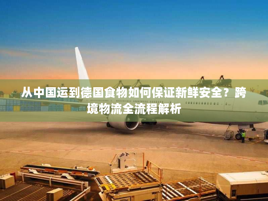 从中国运到德国食物如何保证新鲜安全？跨境物流全流程解析