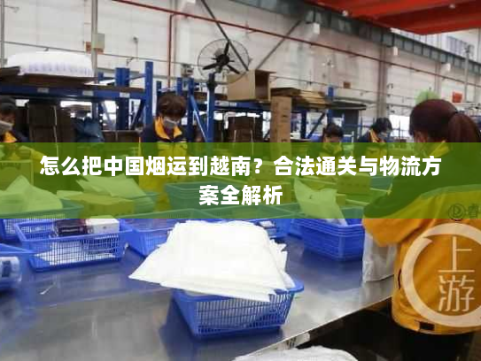 怎么把中国烟运到越南?合法通关与物流方案全解析 怎么把中国烟运到越南?合法通关与物流方案全解析