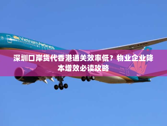 深圳口岸货代香港通关效率低？物业企业降本增效必读攻略