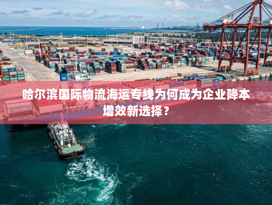 哈尔滨国际物流海运专线为何成为企业降本增效新选择？