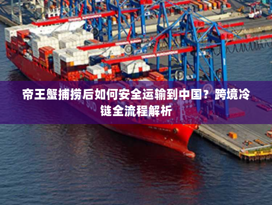 帝王蟹捕捞后如何安全运输到中国？跨境冷链全流程解析