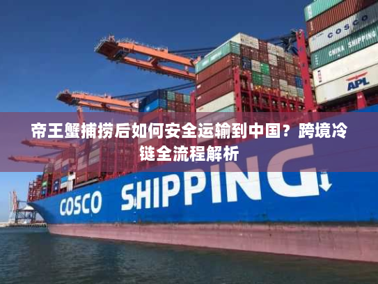 帝王蟹捕捞后如何安全运输到中国？跨境冷链全流程解析