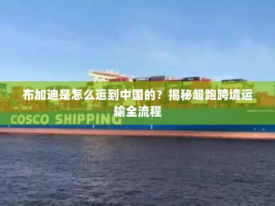 布加迪是怎么运到中国的？揭秘超跑跨境运输全流程