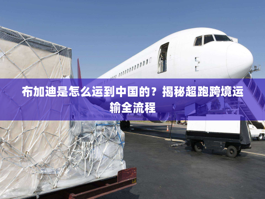 布加迪是怎么运到中国的？揭秘超跑跨境运输全流程