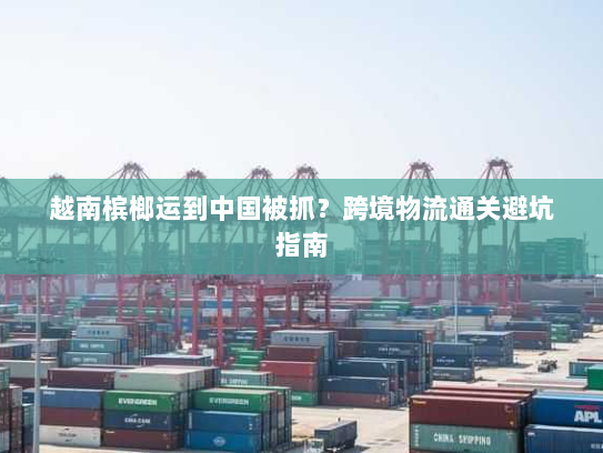越南槟榔运到中国被抓？跨境物流通关避坑指南