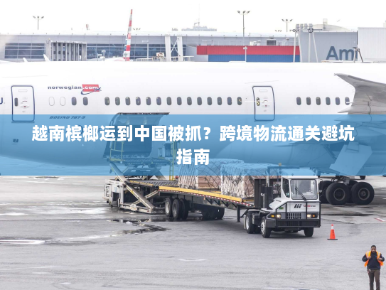 越南槟榔运到中国被抓？跨境物流通关避坑指南