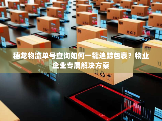 穗龙物流单号查询如何一键追踪包裹?物业企业专属解决方案 穗龙物流单号查询如何一键追踪包裹?物业企业专属解决方案
