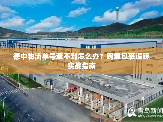 德中物流单号查不到怎么办?跨境包裹追踪实战指南 德中物流单号查不到怎么办?跨境包裹追踪实战指南