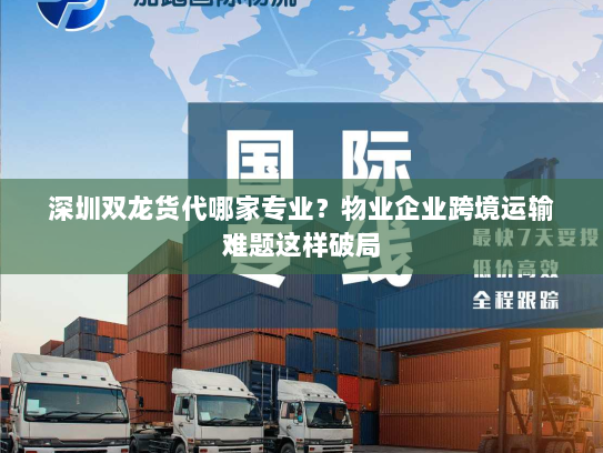 深圳双龙货代哪家专业？物业企业跨境运输难题这样破局