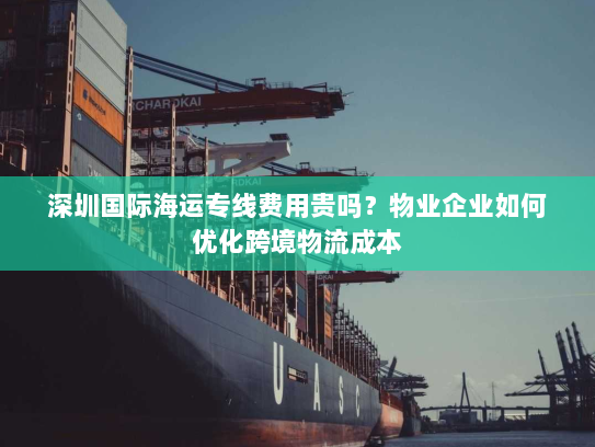 深圳国际海运专线费用贵吗？物业企业如何优化跨境物流成本