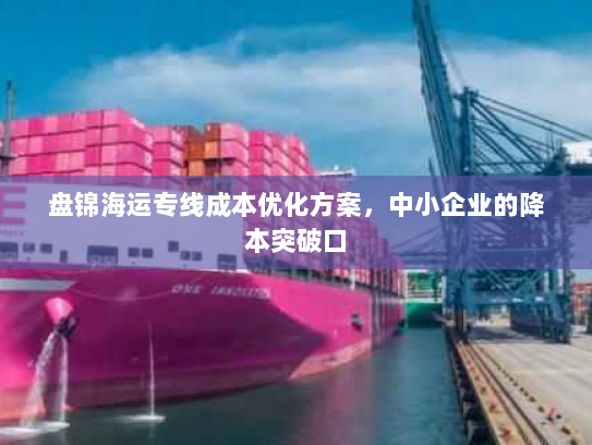 盘锦海运专线成本优化方案，中小企业的降本突破口