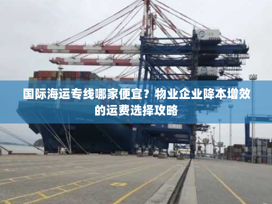 国际海运专线哪家便宜?物业企业降本增效的运费选择攻略 国际海运专线哪家便宜?物业企业降本增效的运费选择攻略