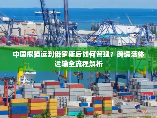 中国熊猫运到俄罗斯后如何管理？跨境活体运输全流程解析