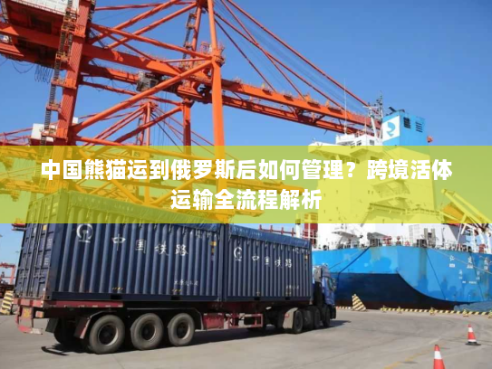 中国熊猫运到俄罗斯后如何管理？跨境活体运输全流程解析