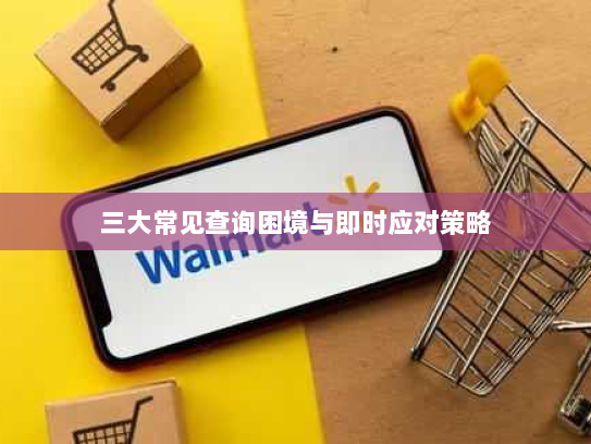 三大常见查询困境与即时应对策略 三大常见查询困境与即时应对策略
