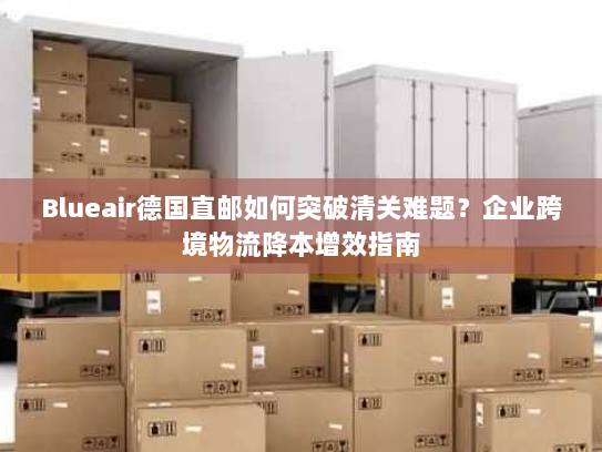 Blueair德国直邮如何突破清关难题?企业跨境物流降本增效指南 Blueair德国直邮如何突破清关难题?企业跨境物流降本增效指南