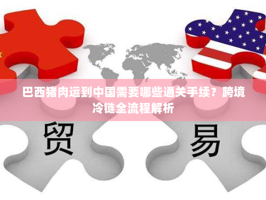 巴西猪肉运到中国需要哪些通关手续?跨境冷链全流程解析 巴西猪肉运到中国需要哪些通关手续?跨境冷链全流程解析