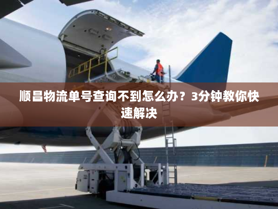 顺昌物流单号查询不到怎么办？3分钟教你快速解决