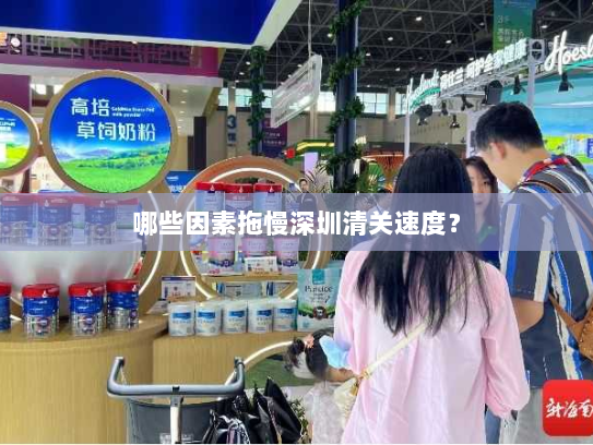 哪些因素拖慢深圳清关速度？