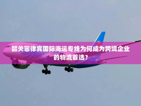 韶关菲律宾国际海运专线为何成为跨境企业的物流首选？