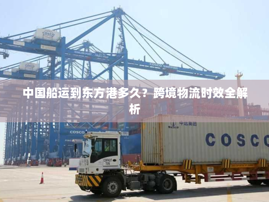 中国船运到东方港多久?跨境物流时效全解析 中国船运到东方港多久?跨境物流时效全解析