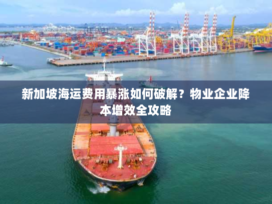 新加坡海运费用暴涨如何破解？物业企业降本增效全攻略