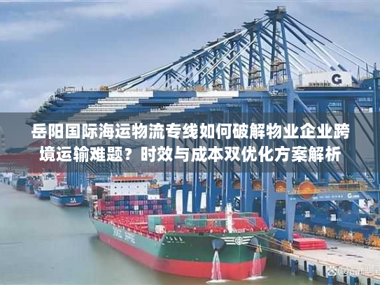 岳阳国际海运物流专线如何破解物业企业跨境运输难题？时效与成本双优化方案解析