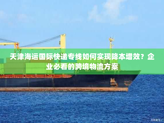 天津海运国际快递专线如何实现降本增效？企业必看的跨境物流方案
