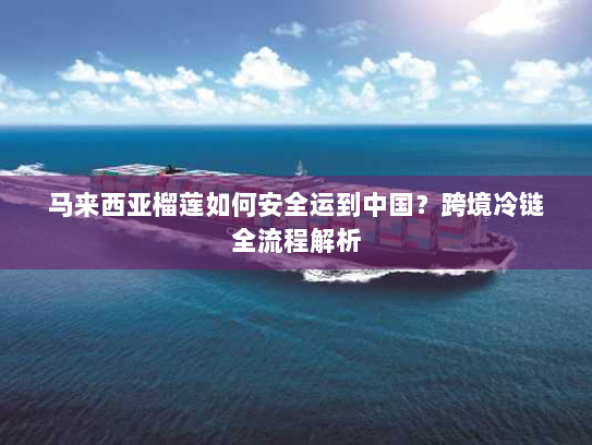 马来西亚榴莲如何安全运到中国？跨境冷链全流程解析