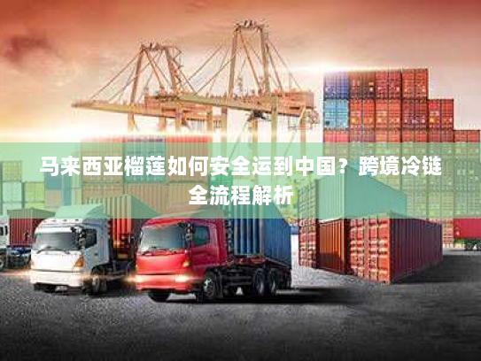 马来西亚榴莲如何安全运到中国？跨境冷链全流程解析