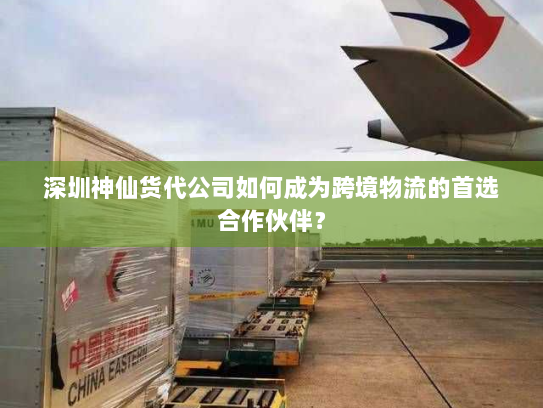 深圳神仙货代公司如何成为跨境物流的首选合作伙伴？