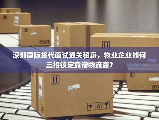 深圳国际货代面试通关秘籍，物业企业如何三招锁定靠谱物流商？