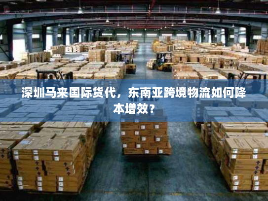 深圳马来国际货代，东南亚跨境物流如何降本增效？
