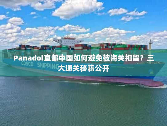 Panadol直邮中国如何避免被海关扣留?三大通关秘籍公开 Panadol直邮中国如何避免被海关扣留?三大通关秘籍公开