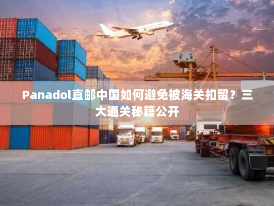 Panadol直邮中国如何避免被海关扣留?三大通关秘籍公开 Panadol直邮中国如何避免被海关扣留?三大通关秘籍公开