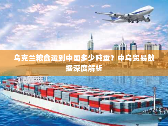 乌克兰粮食运到中国多少吨重？中乌贸易数据深度解析
