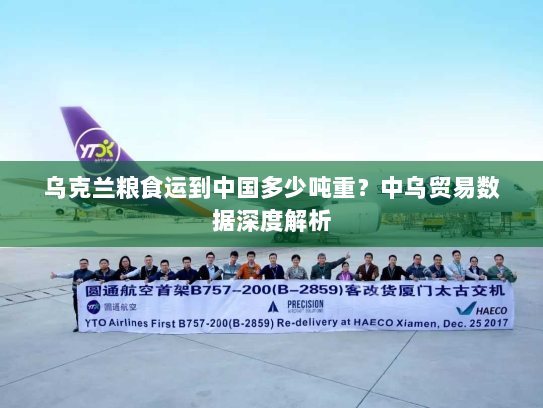 乌克兰粮食运到中国多少吨重？中乌贸易数据深度解析