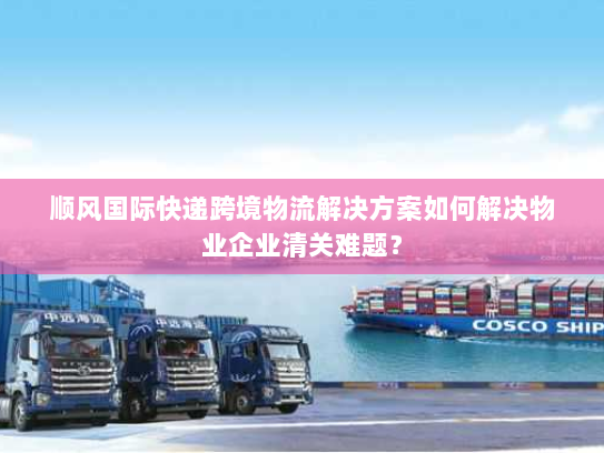 顺风国际快递跨境物流解决方案如何解决物业企业清关难题？